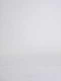 E5221-DISTRIBUTOR